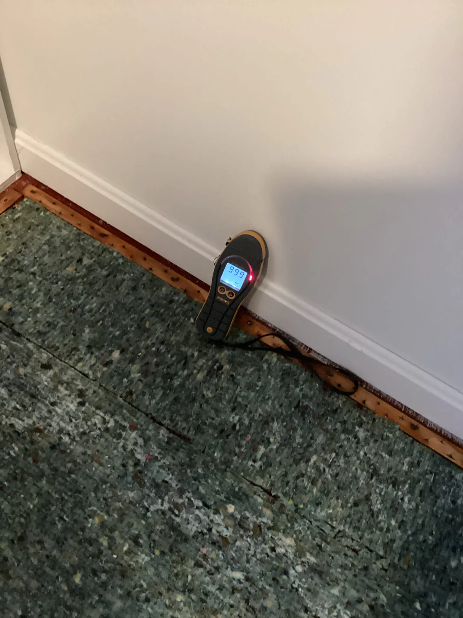 Moisture meter on a saturated carpet pad next to a baseboard, display pinned at 999