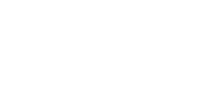 google review logo white - dehumidification services